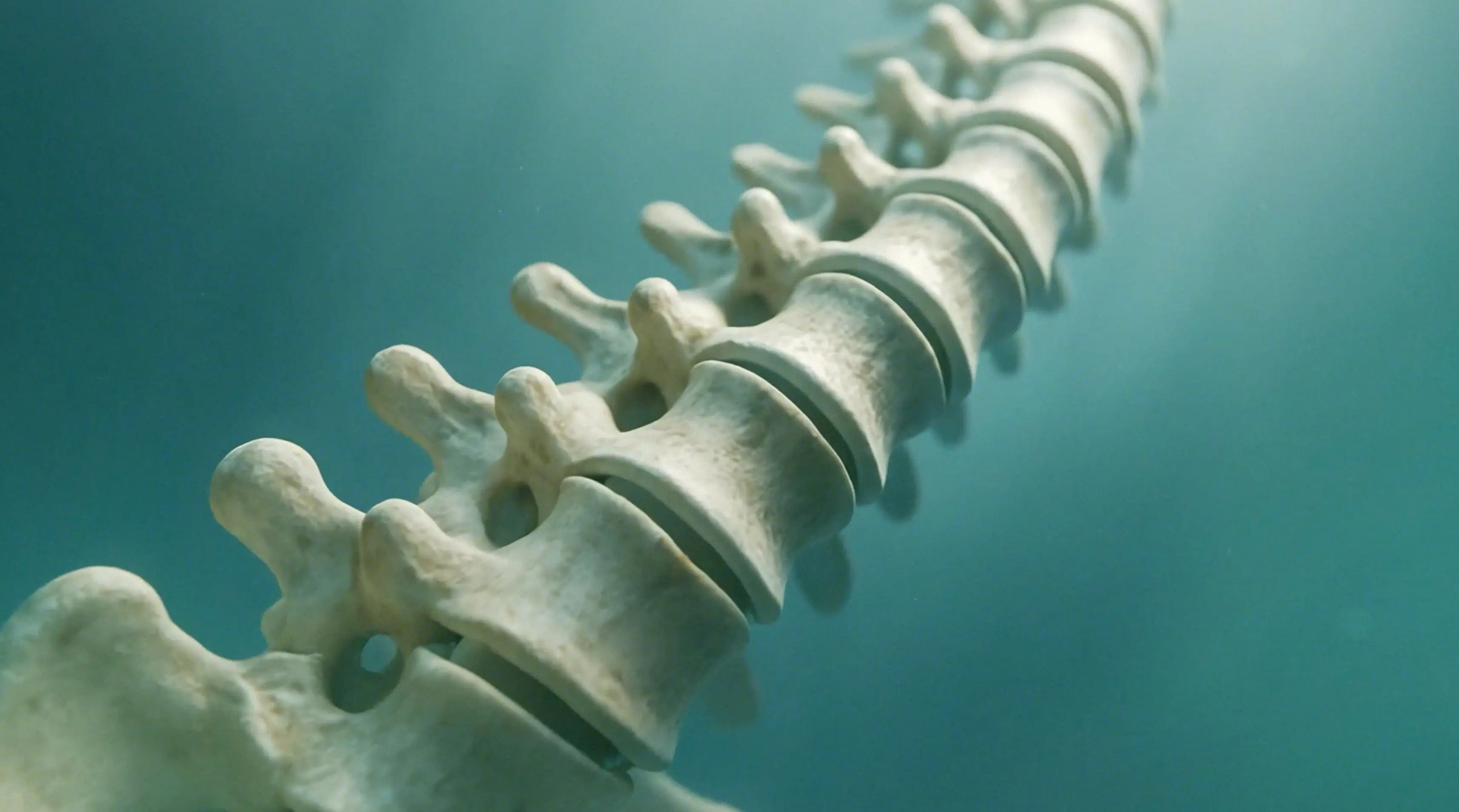 Vimeo Thumbnail