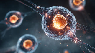 What Is Regenerative Medicine & How It Heals Naturally Picture